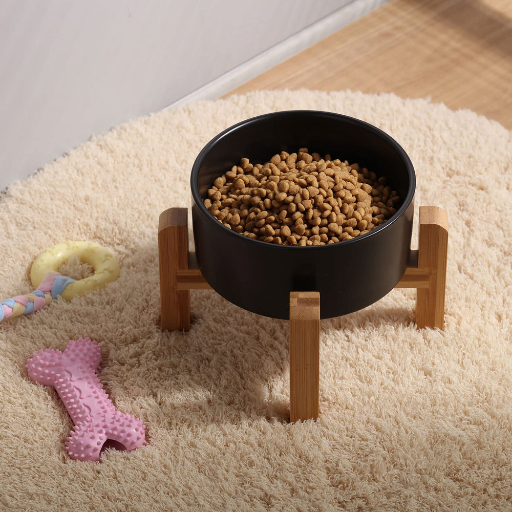 Petygooing modern design complements home decor while keeping pets fed.