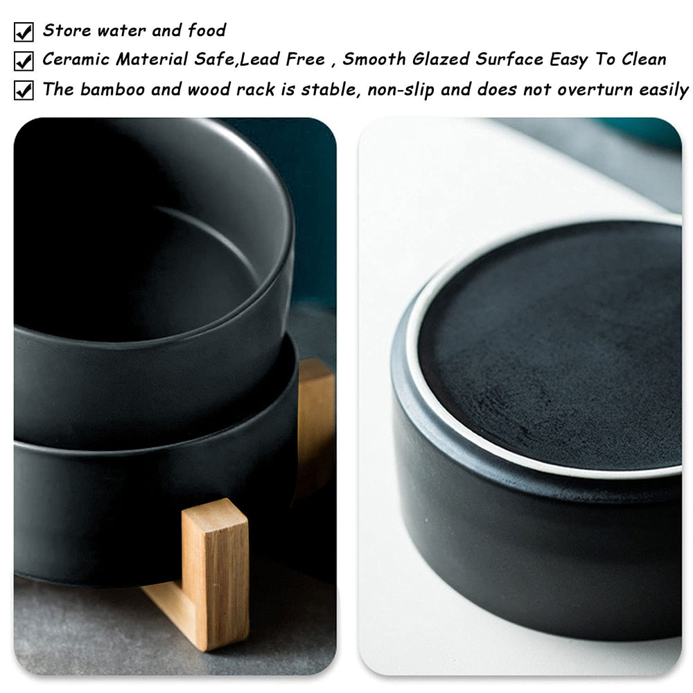 Petygooing dual-bowl set offers food and water at a convenient height