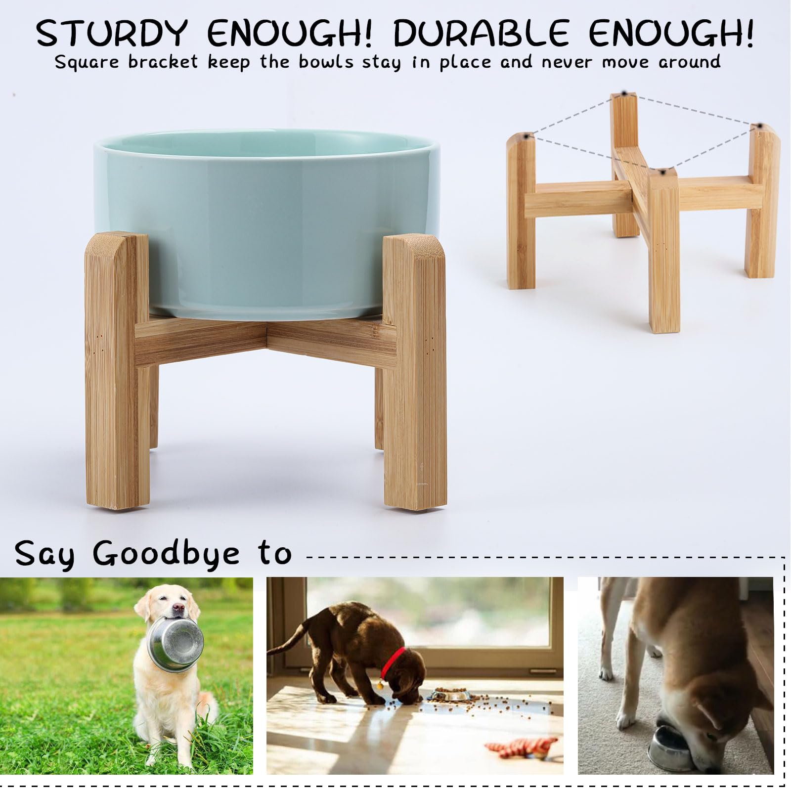 Petygooing elevated ceramic bowl interior view supporting proper posture during feeding