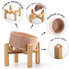 Petygooing elevated dish supports comfortable feeding for small pets