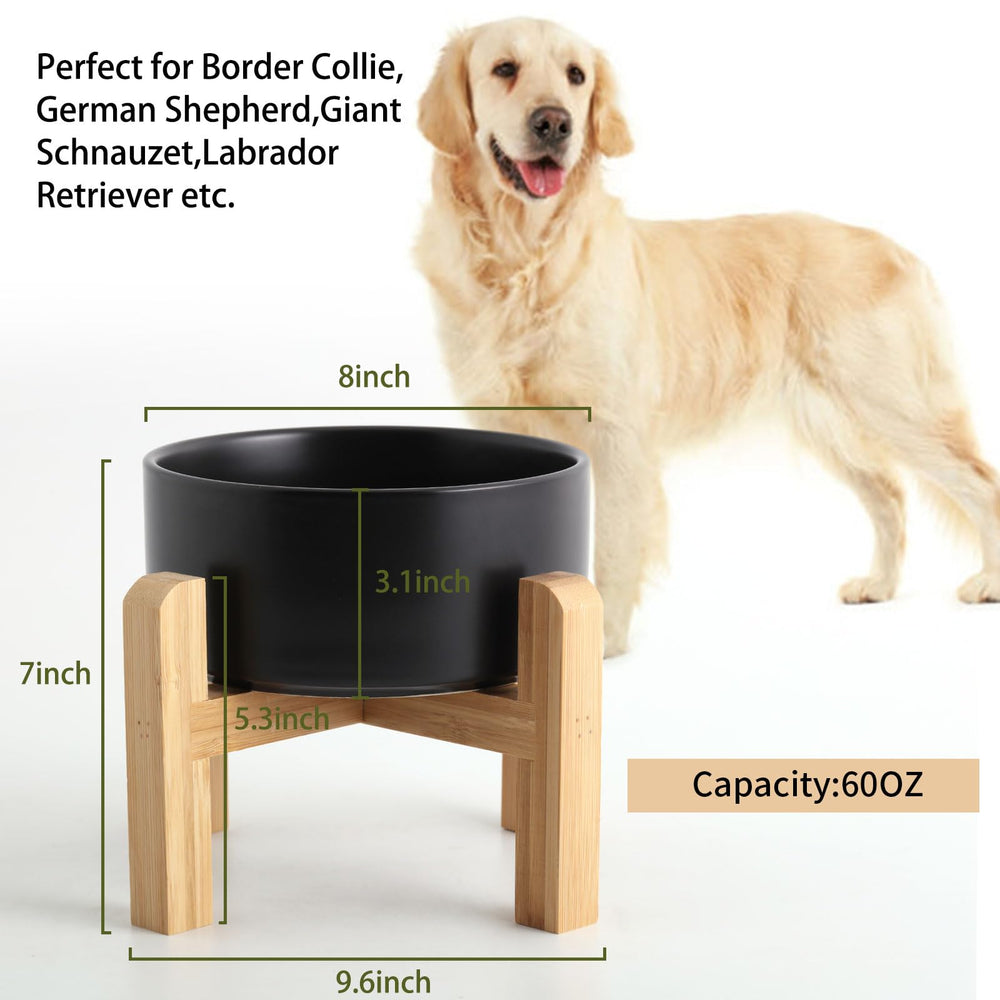 Petygooing large 7.6 cup bowl ready for medium to large breeds