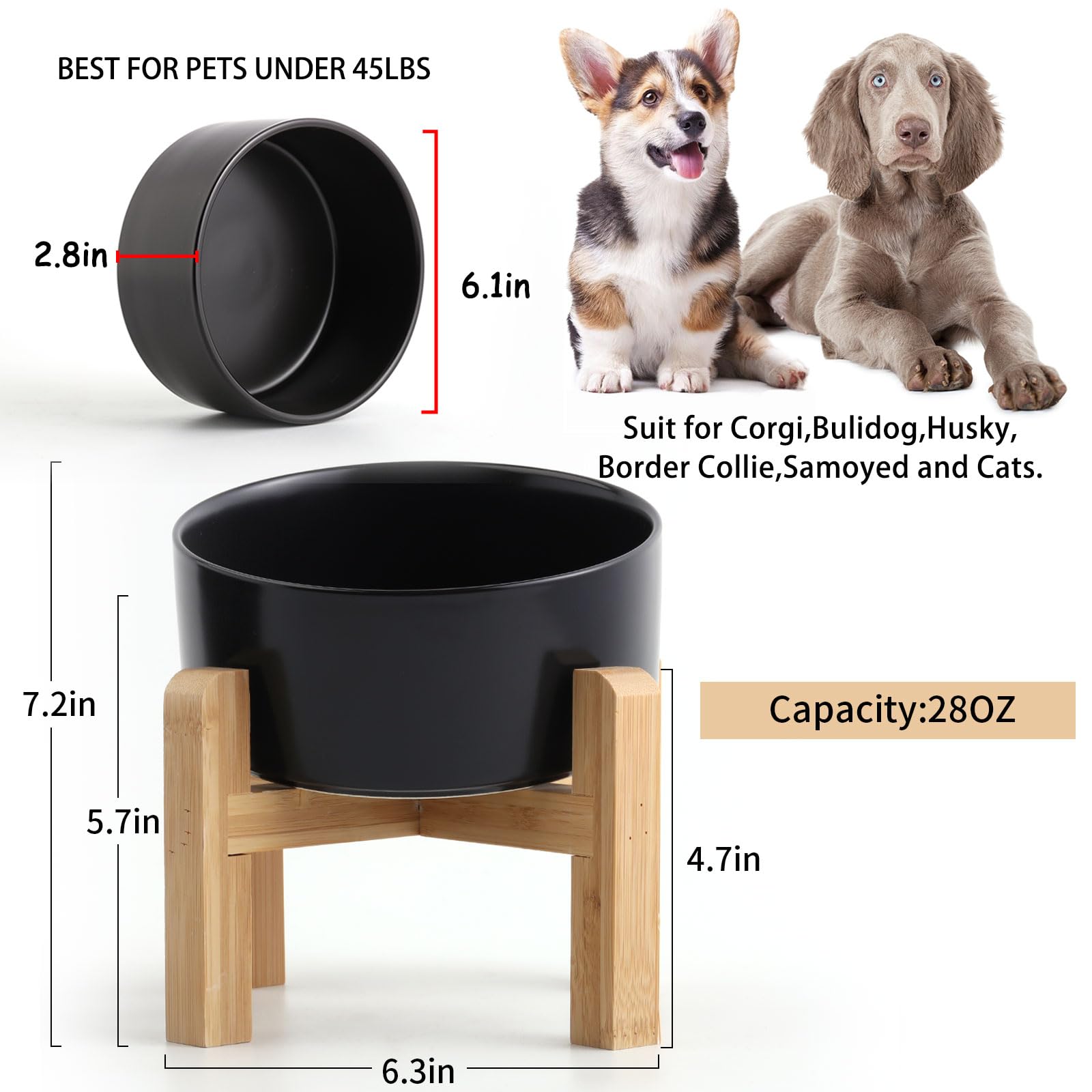Petygooing medium dog bowl capacity supports regular meals without frequent refills.