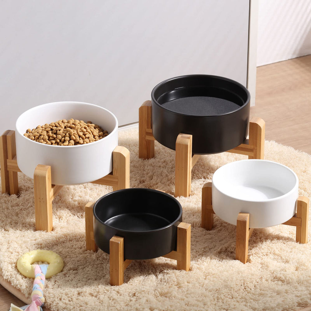 Petygooing elevated bowls ideal for small cats and puppies.