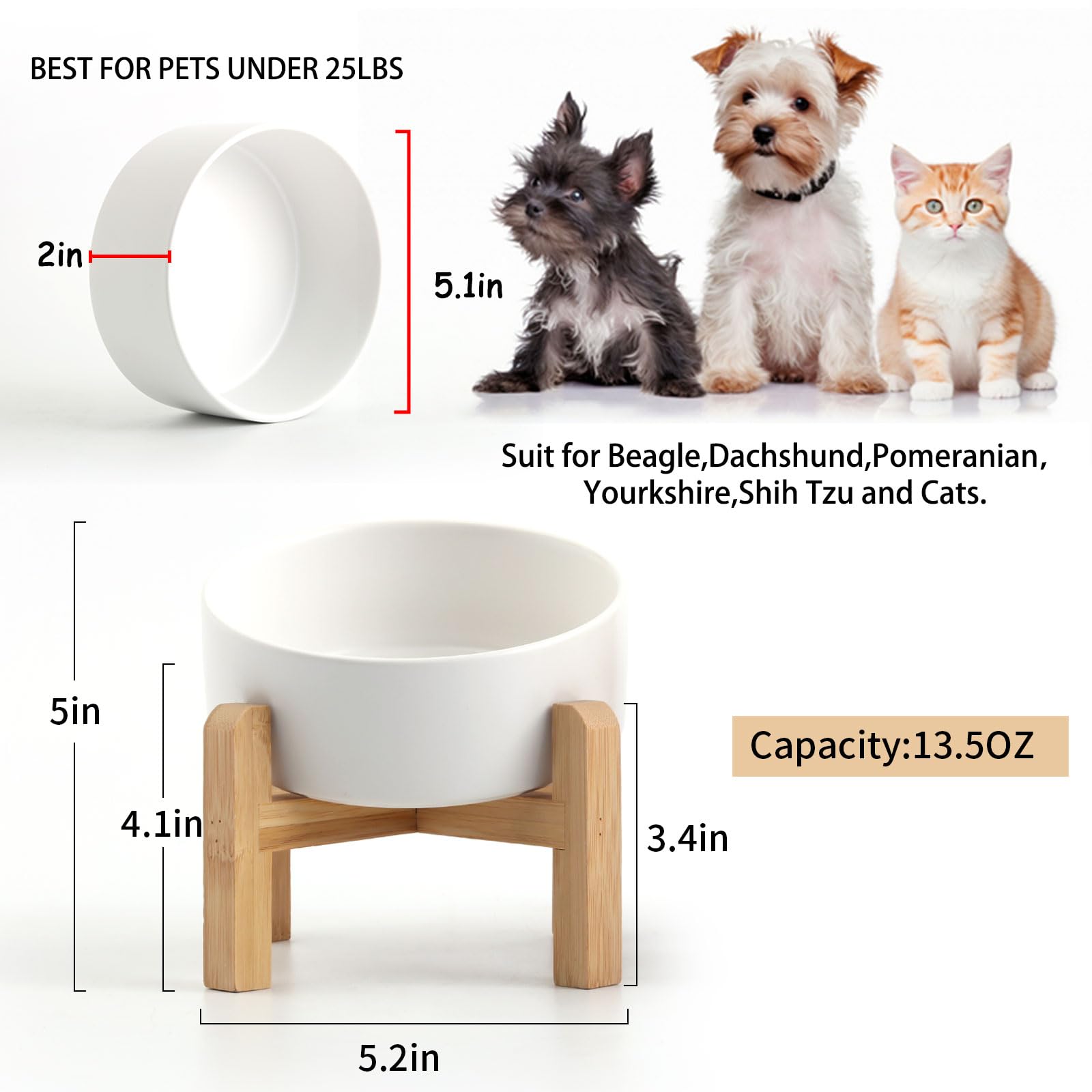 Petygooing small pet dish ideal for cats and tiny dogs 400 ml