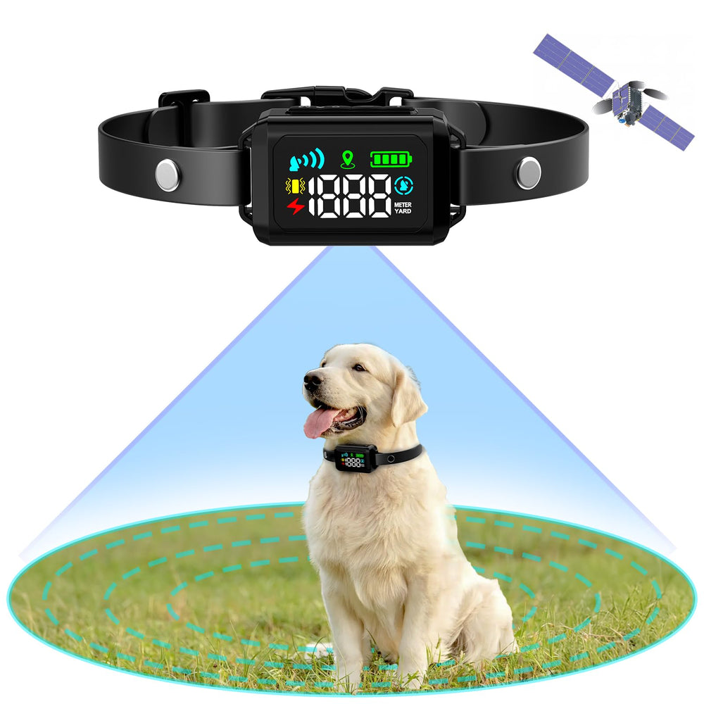 Petyida GPS dog fence collar demonstrates boundary awareness for outdoors.