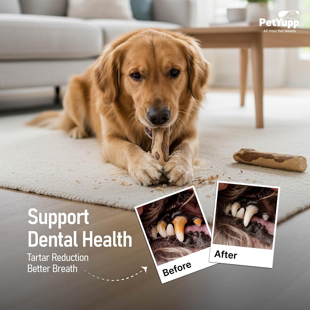 PetYupp coffee wood chew sticks, no caffeine, ideal for powerful chewers.