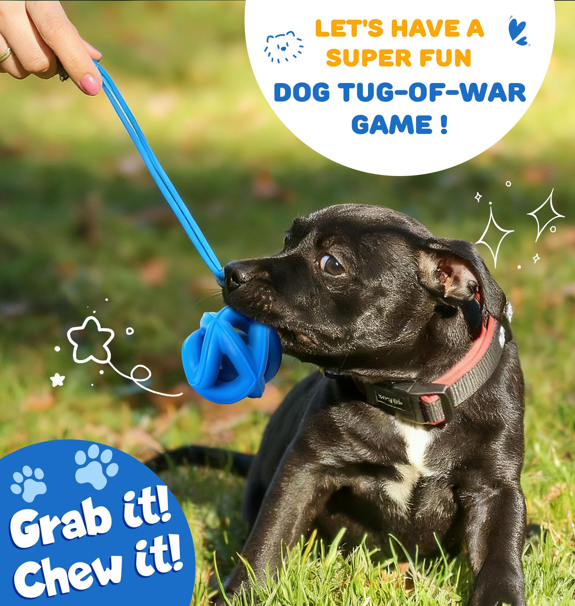 PetZee cage-ball toy with twisting shape sparks curiosity and play.