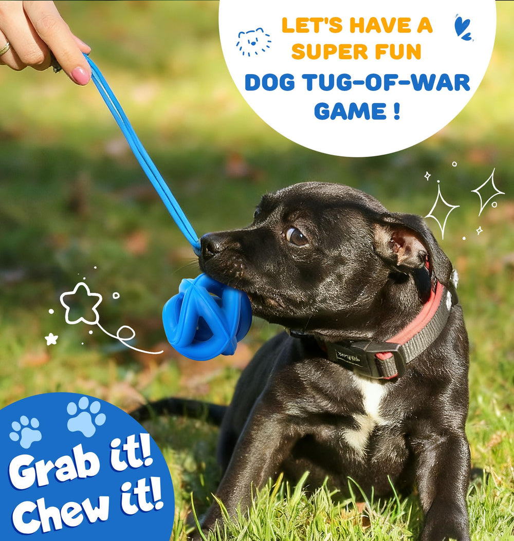 PetZee cage-ball toy with twisting shape sparks curiosity and play.