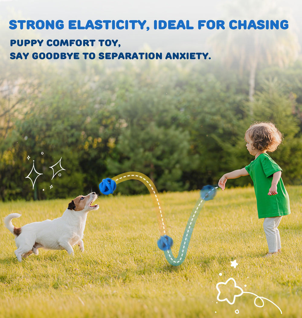 PetZee durable chew toy ideal for aggressive chewers and interactive play.