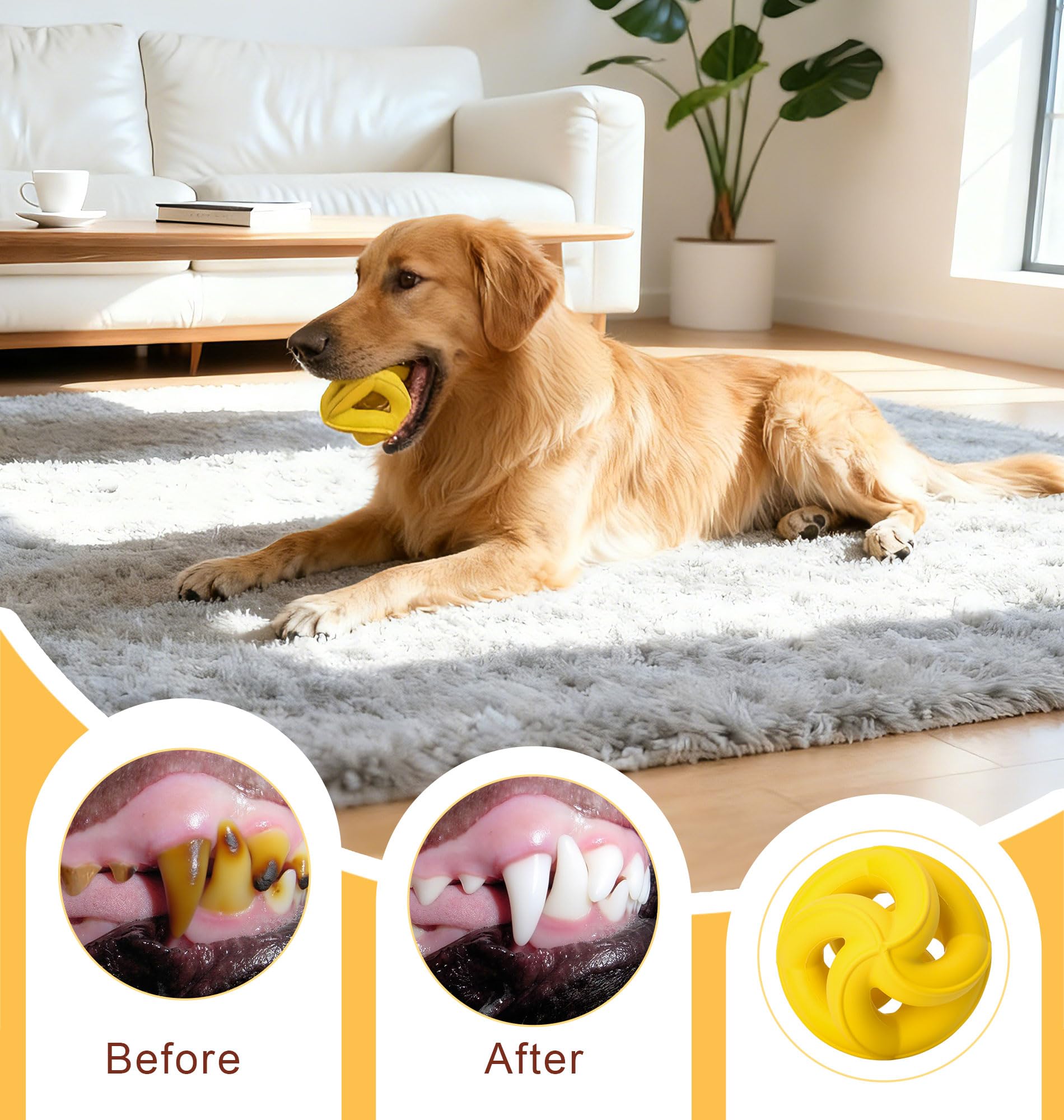 PetZee fetch-training toy supports bonding and exercise during playtime