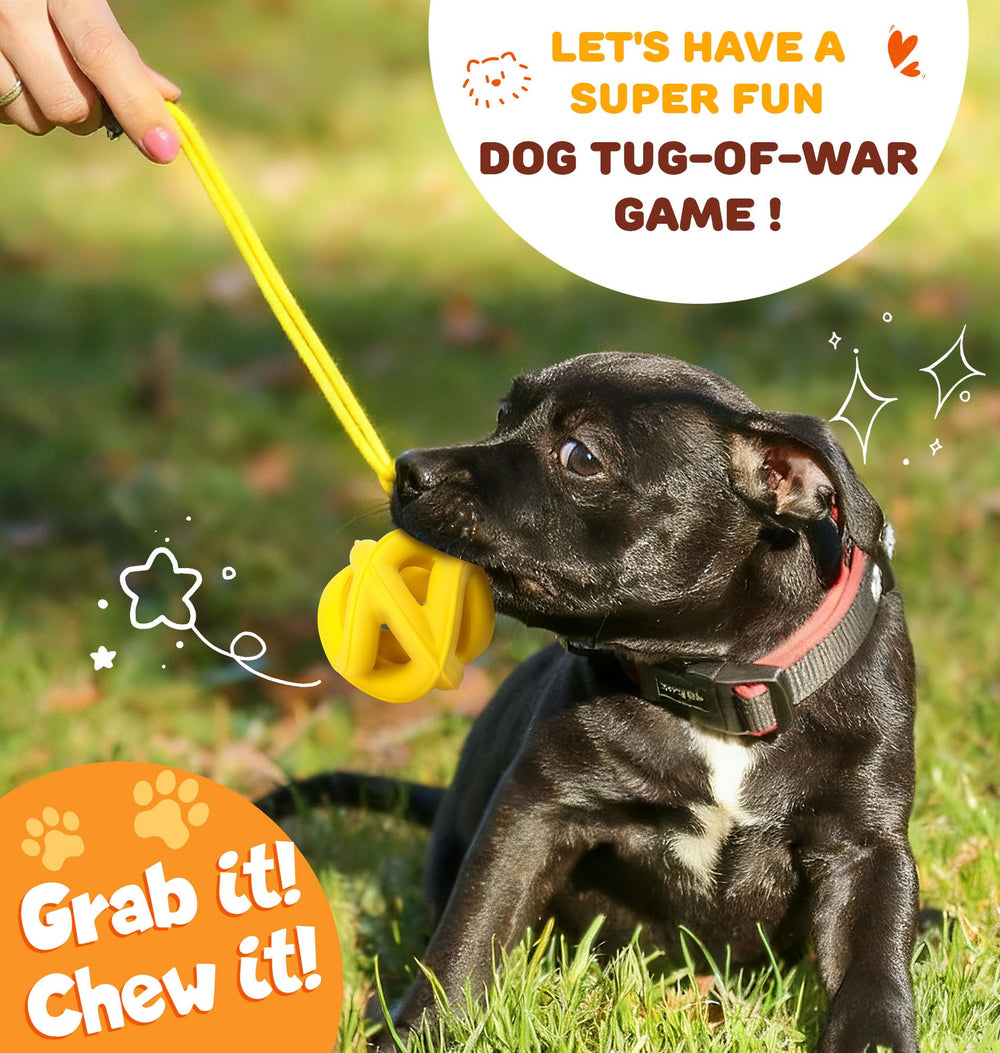 PetZee natural rubber durable toy for aggressive chewers during daily sessions