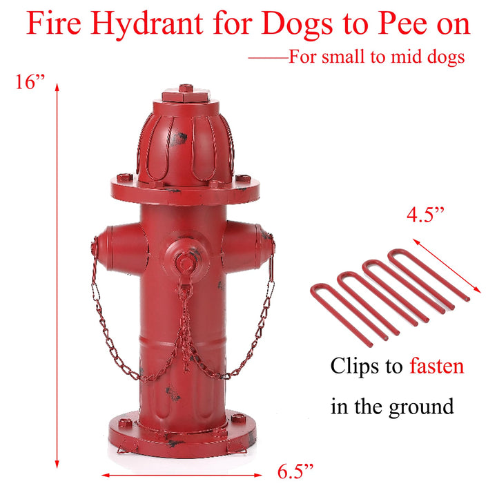 Phaxth outdoor garden hydrant decor used as whimsical training aid.