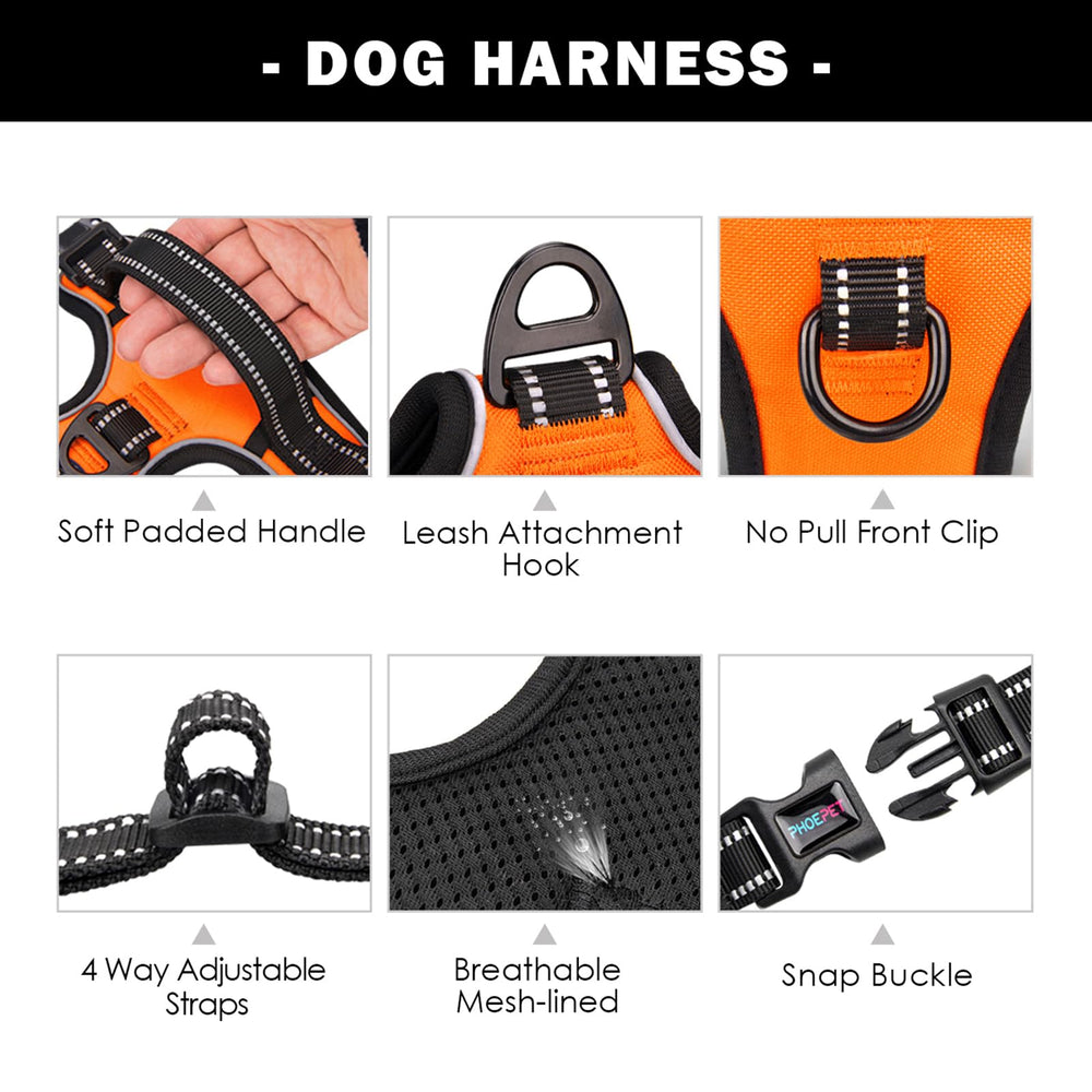 PHOEPET Back Clip Leash Attachment offers steady control for everyday strolls