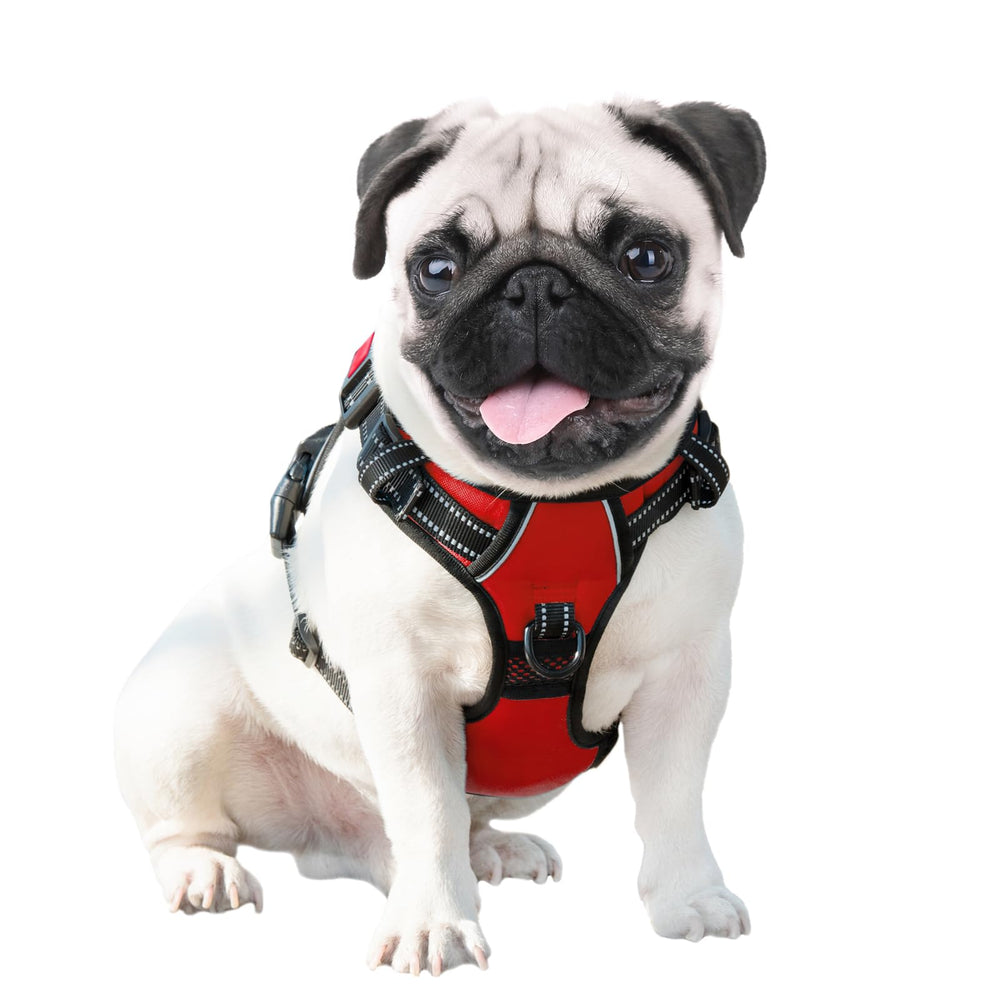 PHOEPET back handle aids lifting and car assistance