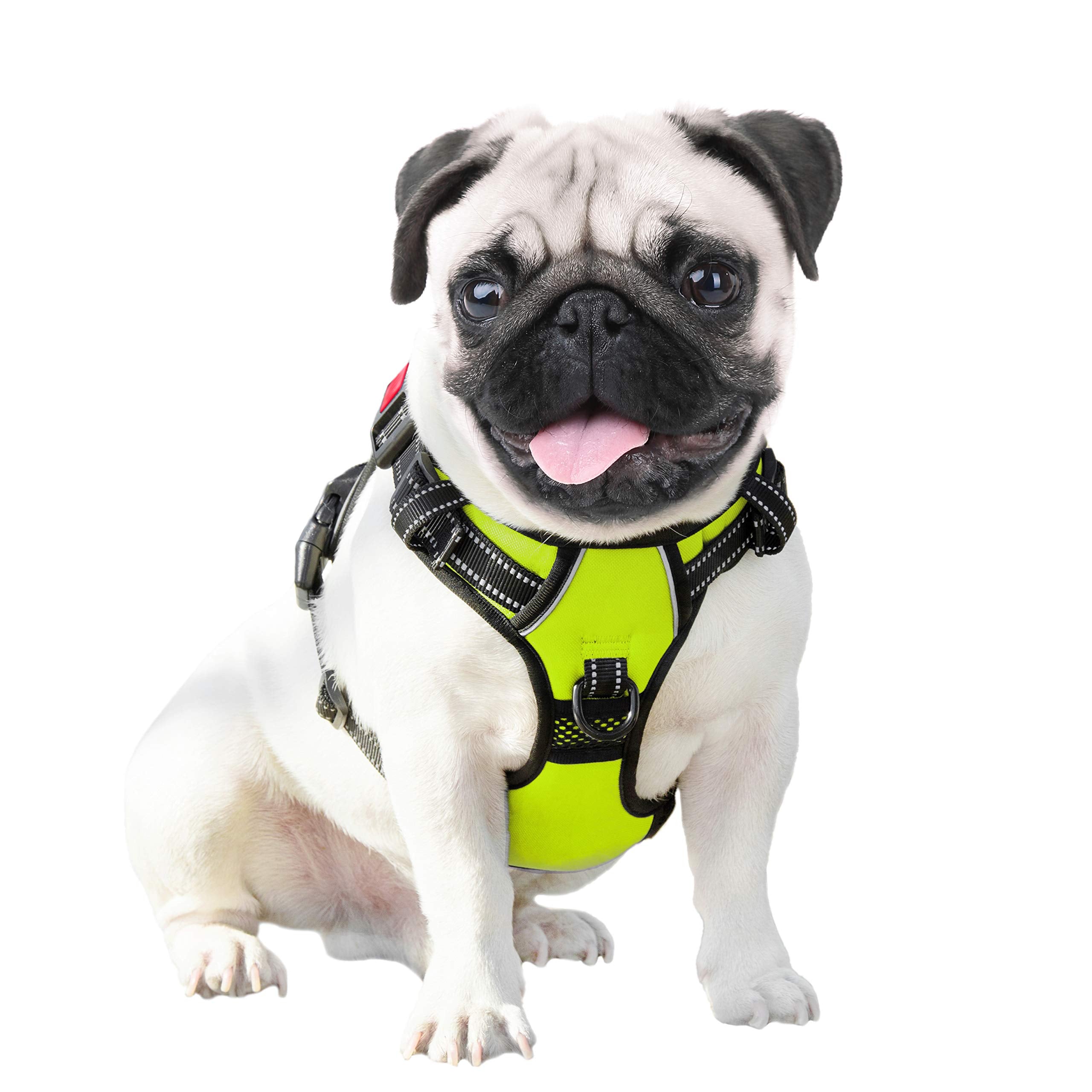 PHOEPET easy-on harness with three buckles for quick fitting