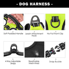 PHOEPET harness includes a soft back handle for close control and loading into the car.