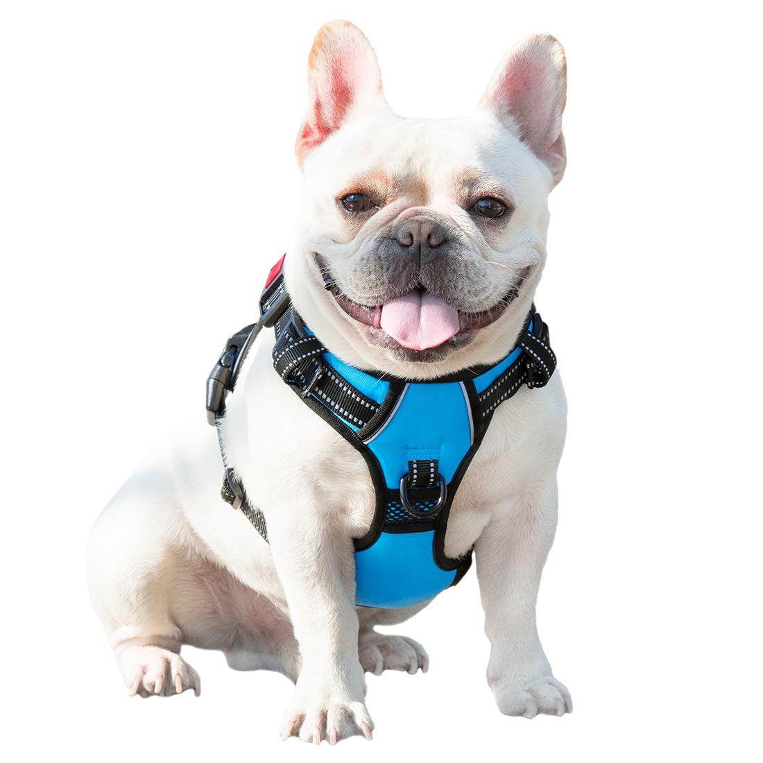 PHOEPET easy-on-off harness blue simplifies putting on for small dogs.