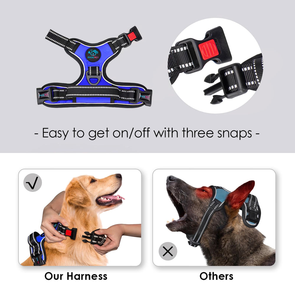 PHOEPET harness with three buckles for quick on and off.