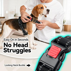 PHOEPET Harness with dual chest buckles for quick fitting and balanced pressure.