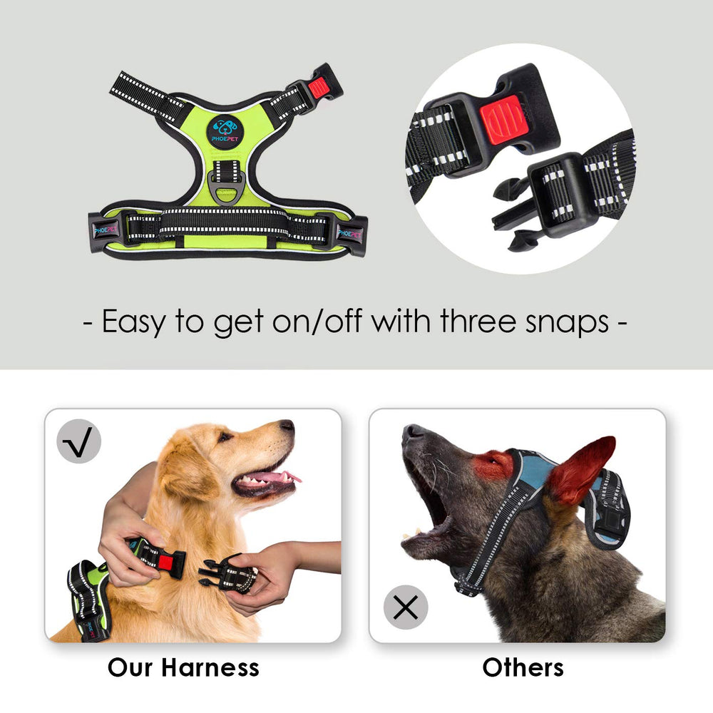 PHOEPET Reflective material improves visibility during night walks.