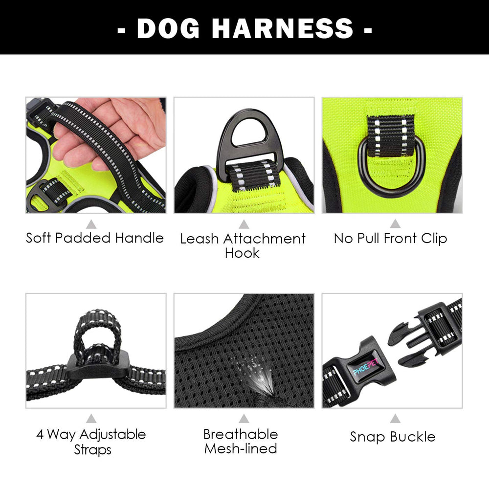PHOEPET three-buckle design for quick, stress-free on-off.