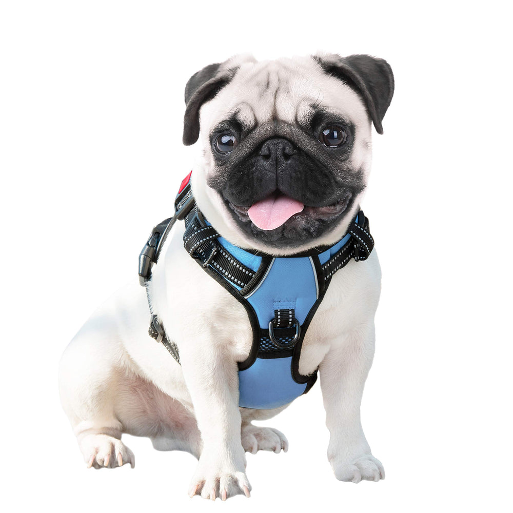 PHOEPET No Pull harness training handle and dual leash hooks for closer control.