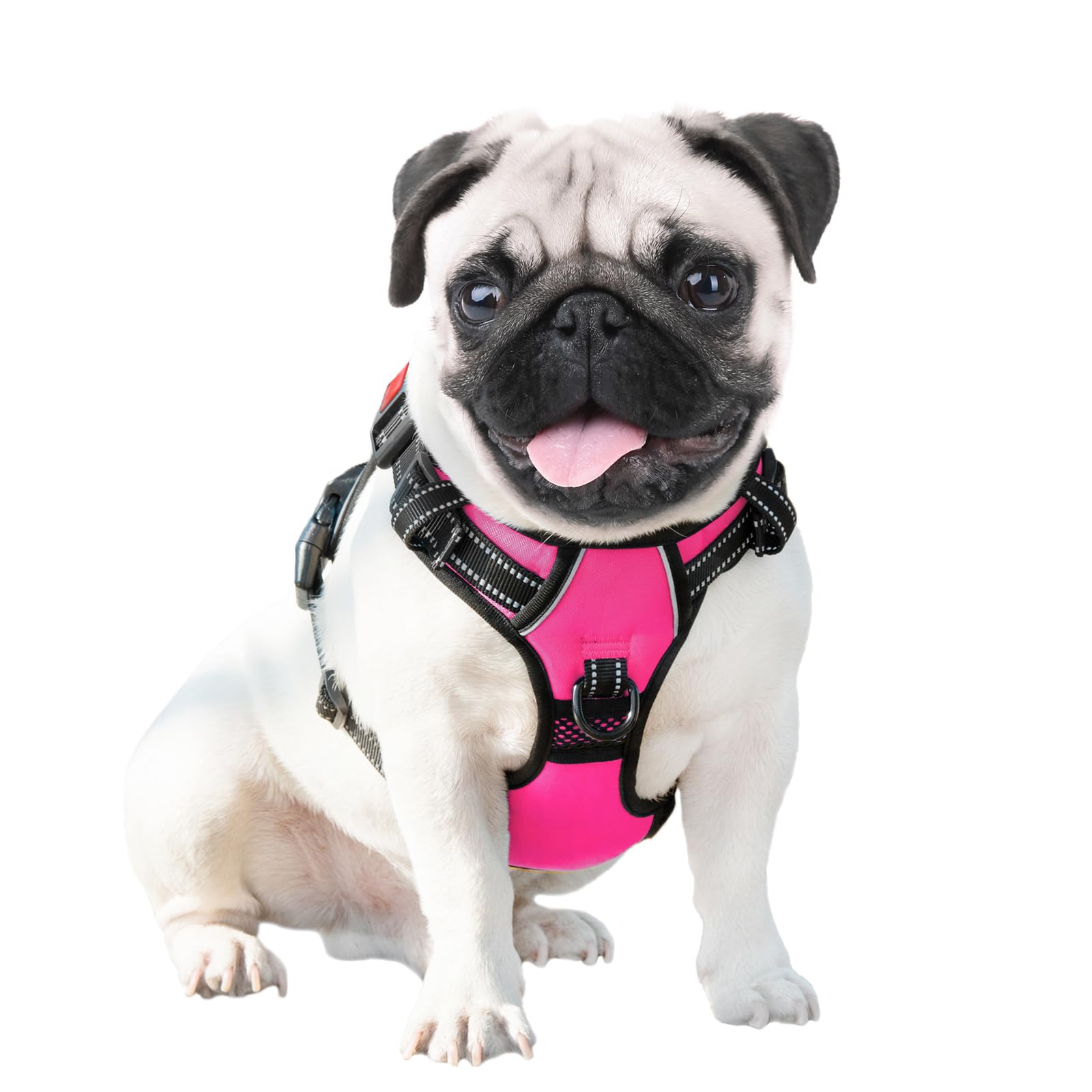 PHOEPET medium pink harness with adjustable fit for a comfortable dog.