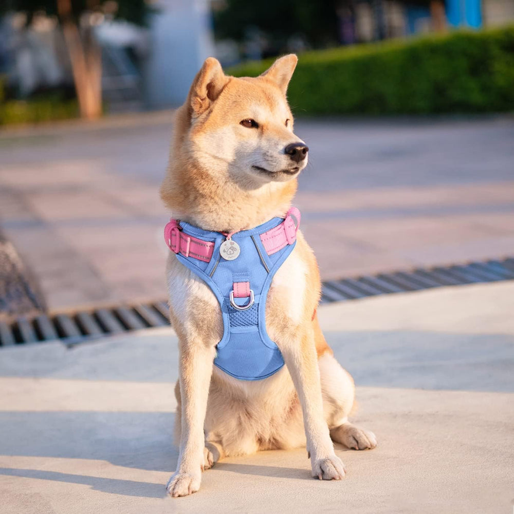 PHOEPET No Pull Harness adjustable straps ensure a snug fit.