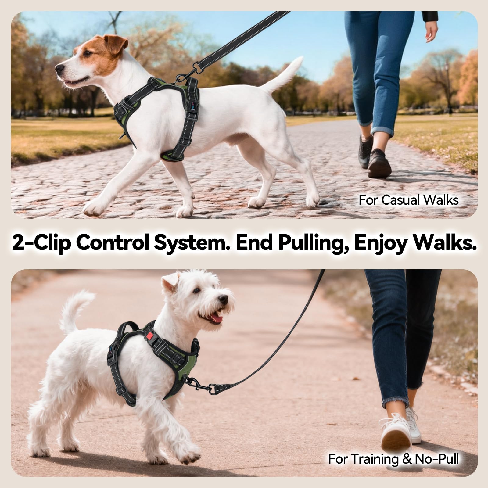 PHOEPET harness with double chest buckles for quick, snug fitting.