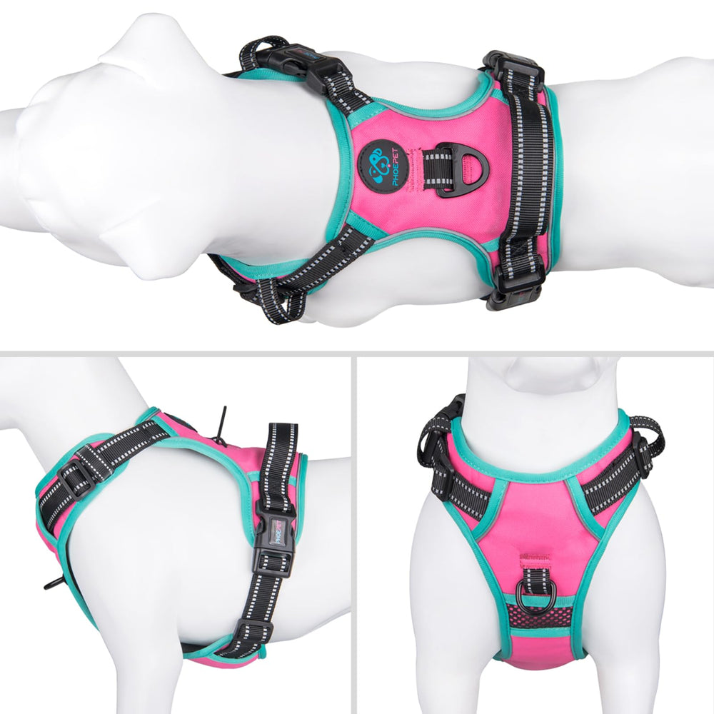 PHOEPET no-pull pink harness back view showing training handle