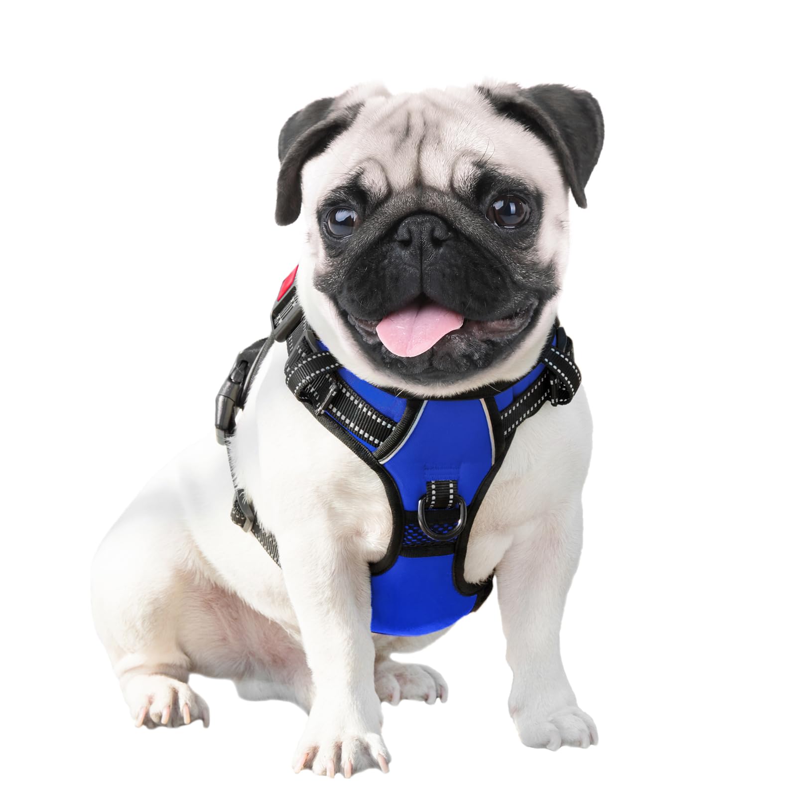 PHOEPET No Pull Harness royal blue color for daily wear
