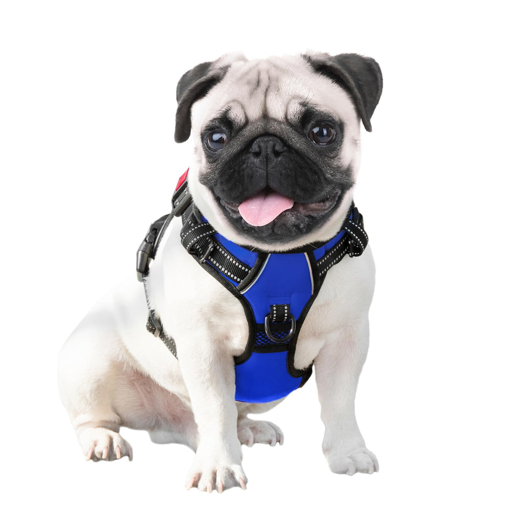 PHOEPET No Pull Harness royal blue color for daily wear