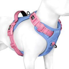 PHOEPET No Pull Harness front view on dog with baby blue base and pink straps.