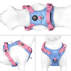 PHOEPET No Pull harness back view showing the padded control handle.