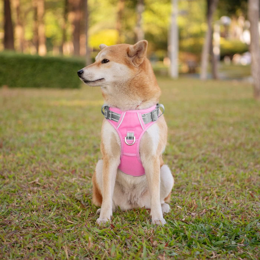 PHOEPET No Pull Harness uses breathable mesh lining to reduce chafing.