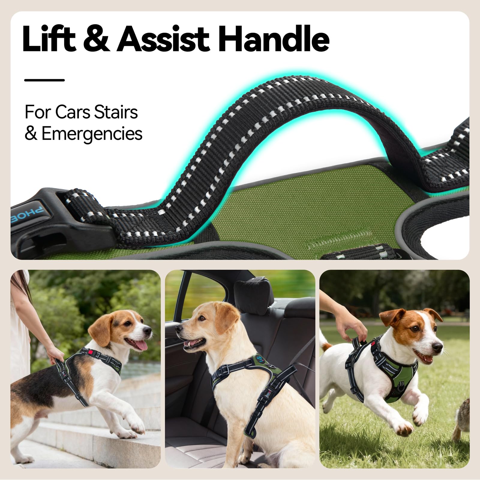 PHOEPET front D-ring promotes gentle training to reduce pulling.