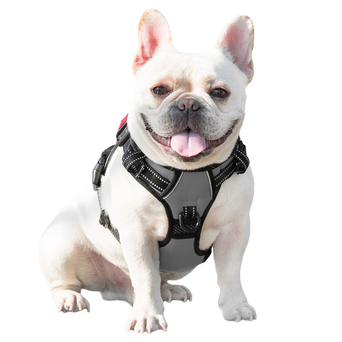 PHOEPET No Pull Harness grey adjustable straps for a comfortable fit.