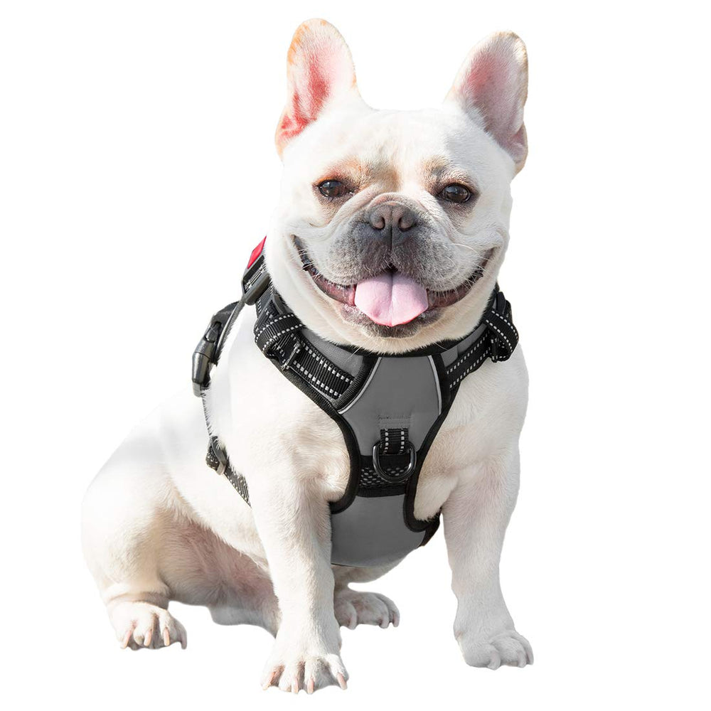 PHOEPET No Pull Harness grey adjustable straps for a comfortable fit.