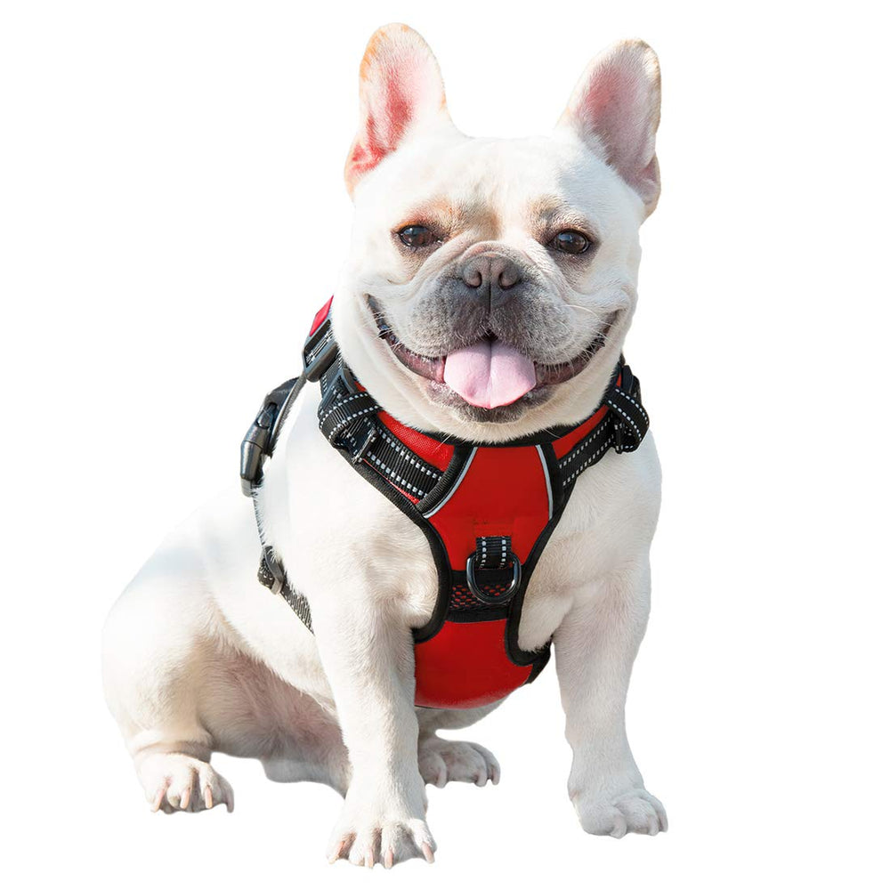 PHOEPET Medium red harness ideal for mid-size dogs.