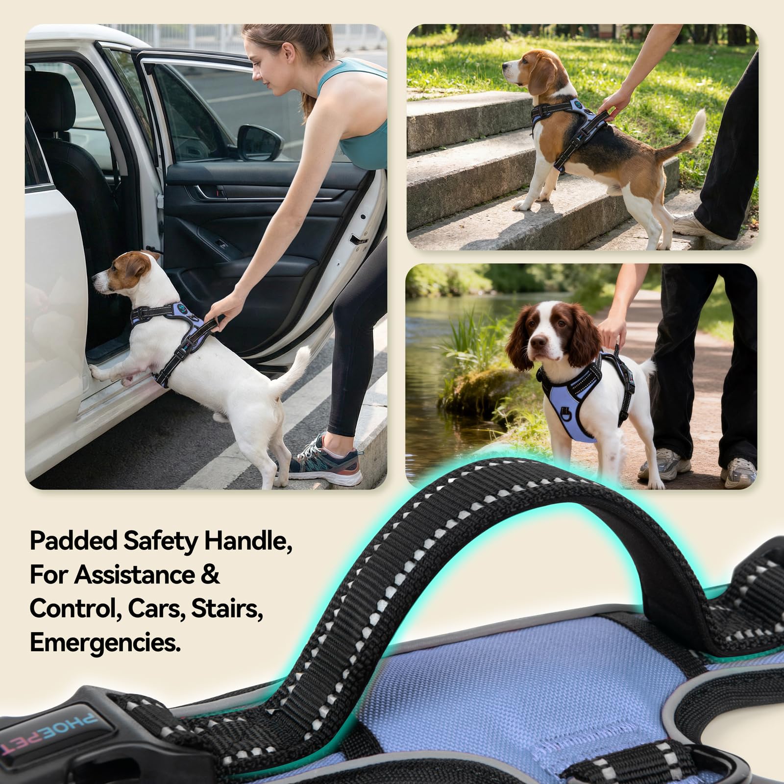 PHOEPET No Pull Harness padded chest and back for comfortable all-day wear.