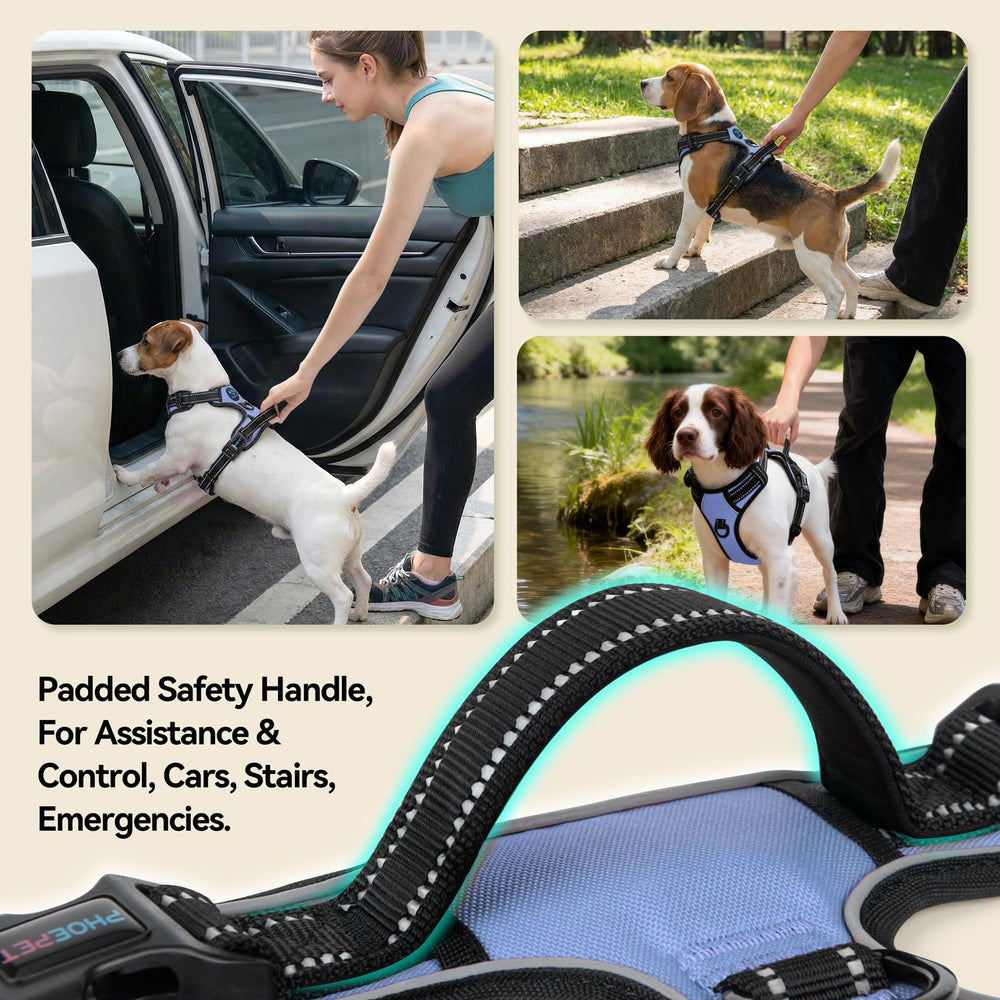PHOEPET No Pull Harness padded chest and back for comfortable all-day wear.