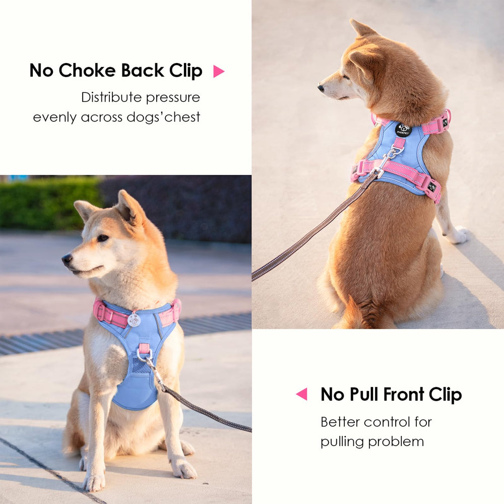 PHOEPET No Pull harness with reflective material for dusk visibility.