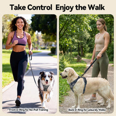 PHOEPET No Pull Harness reflective panel increases visibility at dusk.