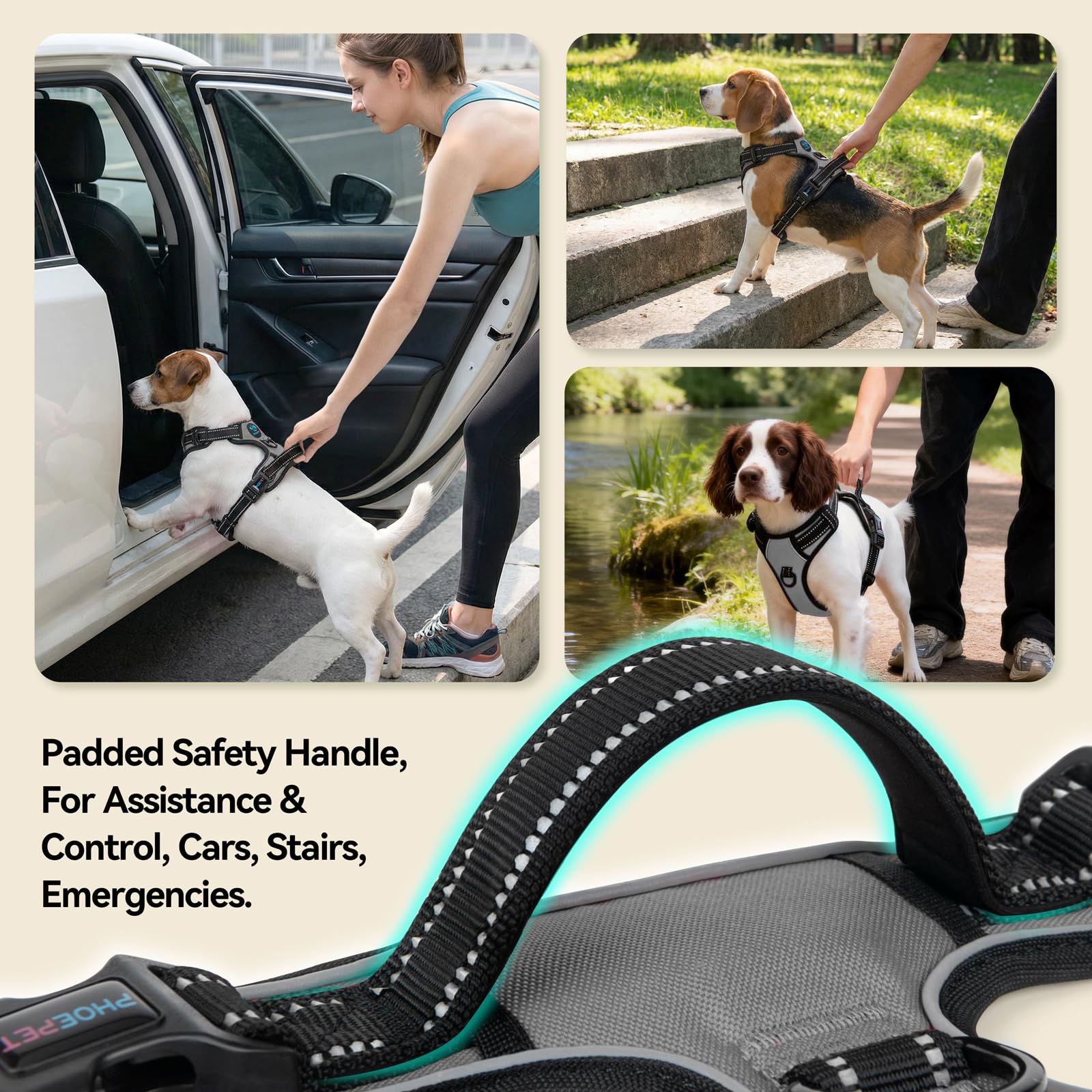 PHOEPET No Pull Harness side buckles provide secure, adjustable fit.