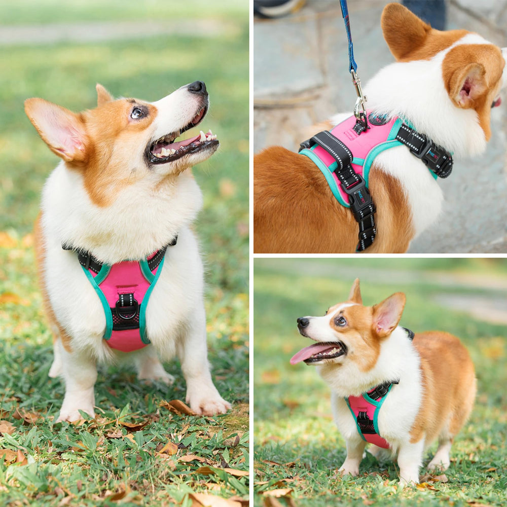 PHOEPET no-pull harness soft back handle for gentle control.