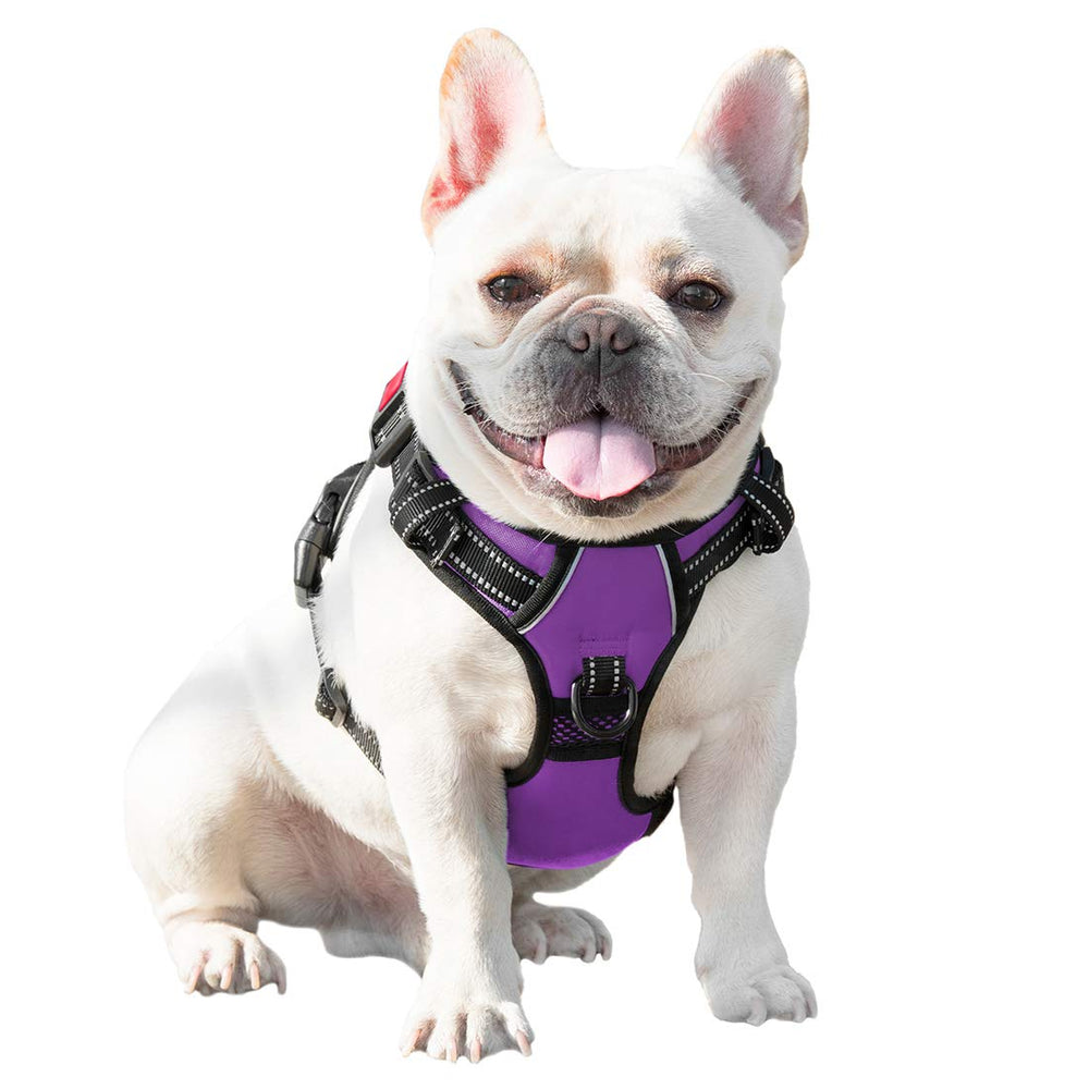 PHOEPET nopull harness easy on-off design for small dogs in purple XS