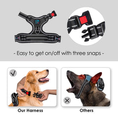 PHOEPET harness back handle view for controlled lifting and assistance