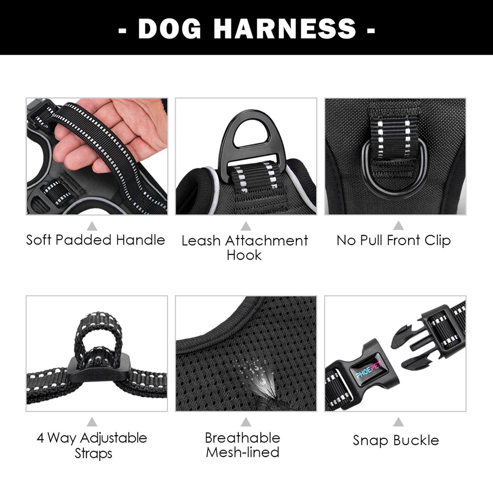 PHOEPET harness two rings close-up for versatile leash options