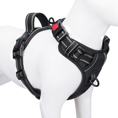 PHOEPET Reflective Harness enhances night visibility for safer walks.