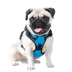 PHOEPET reflective material harness blue increases visibility at night.